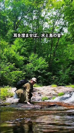 #飛騨高山 この夏、涼を感じる保存必須の絶景スポット #宇津江四十八滝県立自然公園