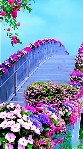 Chiều hạ vàng#flowers #garden #tamtrang #canhactrutinh #nhacbolero