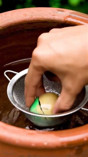 Found Nemo & More! Baby Turtles, Pencil Fish, Guppies in My Tiny Pond! 🐠🐢