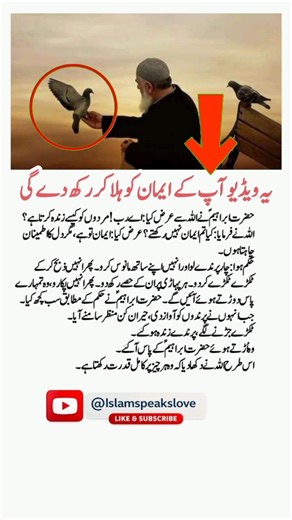 Empathy in motion the true value of kindness and compassion #hadees #Quran #islam