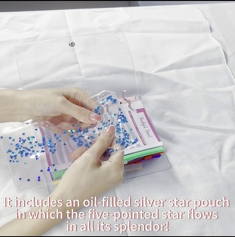 A6 Budget Binder with Colour Cash Stuffing Envelopes and Oil-Filled Silver Star Pouch for Binder Organizer Money Envelopes for Cash Saving