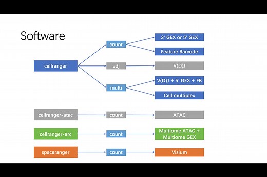 单细胞软件 CellRanger 使用方法