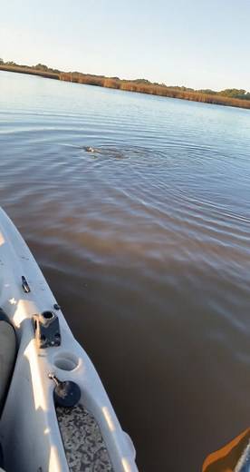 Kayaking and Fishing for Largemouth Bass in Texas