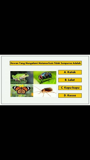 Tes Ilmu Pengetahuan Alam Dasar (vt42) #kuis #kuistiktok #kuispengetahuan #kuisipa #kuisbiologi #ipa #biologi #tespengetahuan