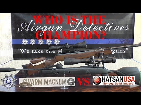 Gamo Swarm Magnum vs Hatsan 135 .30 Cal "FPS vs FPE" Who is the Champ? by Airgun Detectives
