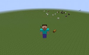 （鸟）我的世界如何装地图