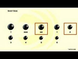 Choosing Shot Size