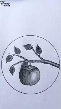 Beautiful Apple 🍎Drawing with Branch in Circle । by pencil Sketch ✏️‪@Easy2DrawingWorld‬ #drawing