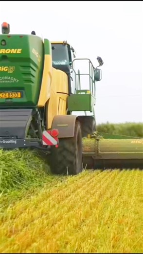 Harvaster Machine Harvesting green fodder #usatractor #harvestermachine #americanfarming