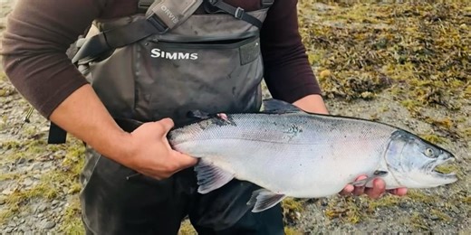 ‘Someone needs to be held accountable’: Family seeks answers after fatal Anchorage hit-and-run