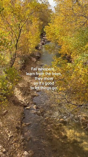 Every season has a purpose. 🍁 Fall whispers a message we all need to hear, release what no longer serves you and make room for what’s meant to grow. Just like the trees, we’re not meant to hold on to everything. Letting go doesn’t mean losing, it means trusting the process, creating space, and stepping into your next era with purpose and peace. 🍂 It’s your reminder that growth often begins with surrender. #ZionNationalPark #MindsetShift #LegacyCollective #ThriveIn2025 #FallReflections #Persona