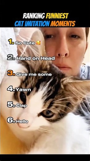 Ranking Funniest Cat Imitation Moments