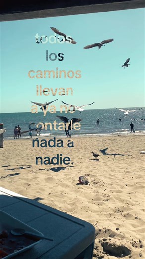 . | todos los caminos llevan a alejarme de todos