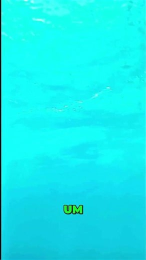 Easy Underwater Scooter Ride: Dive In & Explore! #shorts