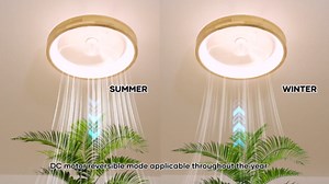 Low Profile Ceiling Fans with Lights and Remote 20” Modern Flush Mount Small Ceiling Fan Lights Wood Smart Fandelier for Bedroom Transparency Gray