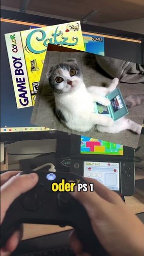 How to stream your 3DS to your PC #wlan #rollladen