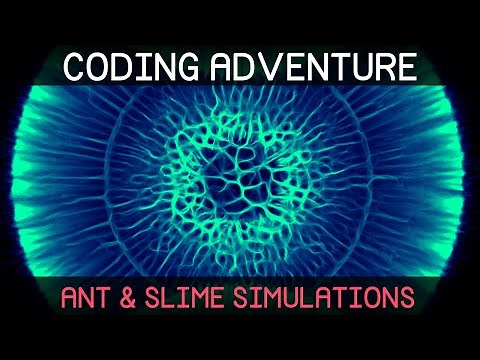Coding Adventure: Ant and Slime Simulations
