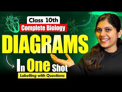 Class 10th All Biology Diagrams in One Shot 🔥 | Final Boards Revision