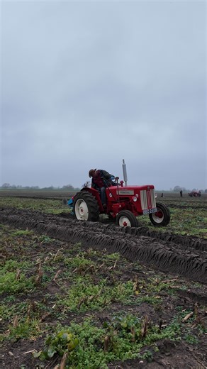AN #InternationalTractor b-414 at the #training day at #torksey 18-1-2026 #ploughing #tractor #farming #tractorlife | Brian Hall