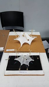 Project 2: Understanding Forces in Building Construction