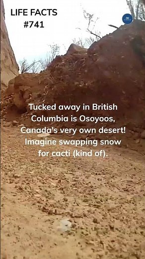 741. Desert in Canada? You Bet! Exploring Osoyoos, the Great White North's Hot Spot!