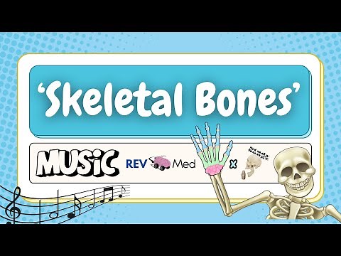 ‘Skeletal Bones’ by Study Songz ft illustrations by REV MED | Anatomy Music