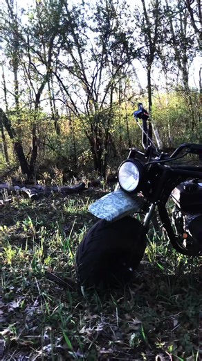 Mini bike Predator 212 | mini bike