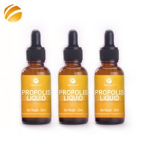 [Hot Item] Beehall Bee Products Supplier HACCP GMP Wholesale Bee Propolis