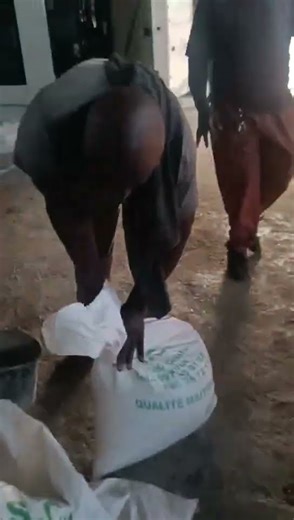 Screw type oil press machine/ oil expeller working site at Africa