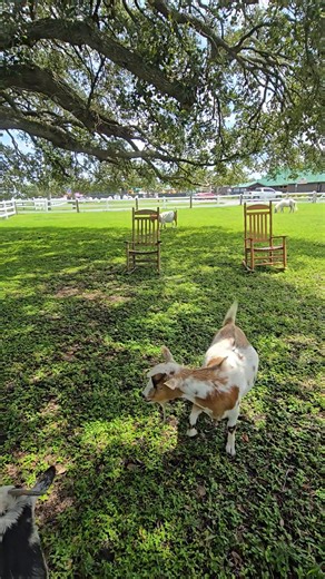 Matt Morrison on Reels | Facebook