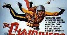The Skydivers (1963)  - Ver Película Completa en Español / Castellano - FULLTV