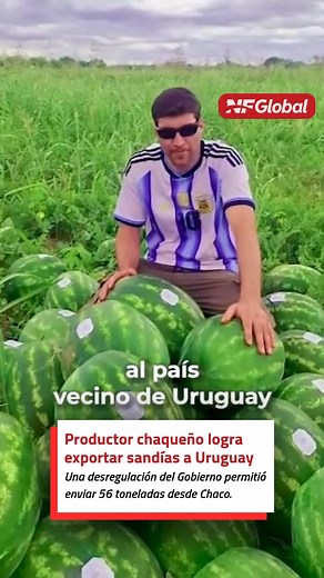 📌 Walter Javier Detzel, productor chaqueño conocido como “el Messi de la sandía”, concretó la primera exportación de 56 toneladas de su fruta a Uruguay. El logro fue posible gracias a la Resolución 21/25 impulsada por el Ministerio de Desregulación, que eliminó trabas burocráticas como la exigencia de envases específicos, permisos de cosecha y habilitaciones anuales. Ahora, los productores pueden elegir libremente el tipo de envase y exportar según la demanda del mercado. Con Senasa enfocado so
