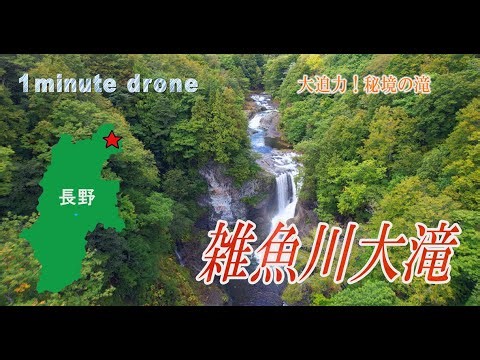 【1min. drone #351】長野県栄村・雑魚川大滝～大迫力！秘境の滝～