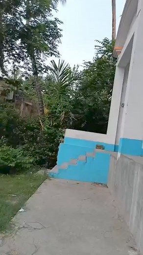 Yoga class | Yoga Morning