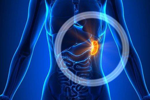 Douleurs à la rate : causes, que faire ?