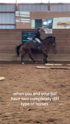 this is funny #horse #horseoftiktok #fyp #dontletthisflop #sports