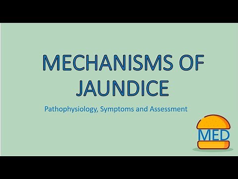 JAUNDICE MADE EASY - Mechanism, Pathophysiology and Assessment