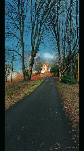 Haldon Belvedere, also known as Lawrence Castle,late 18th century. #content #positivevibes #devon #18 #cinematic