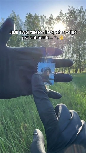 Jakiej rasy jest Twój pies?