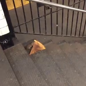 #PizzaRat trends worldwide after NYC rodent carries pizza down stairs