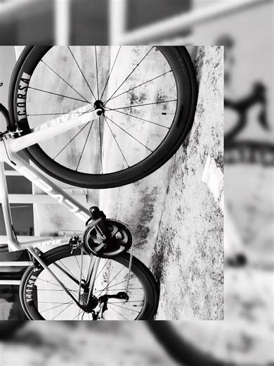 ELVES Vanyar Message na! 🚲 #ElvesPhilippines #ElvesPH #ELVESVanyar #Vanyar #CustomColor #Bicycle #Bike #BikeLife #Instabike #trendingreelsvideo #trendingpost #FYP❤️🚲🚲🚲