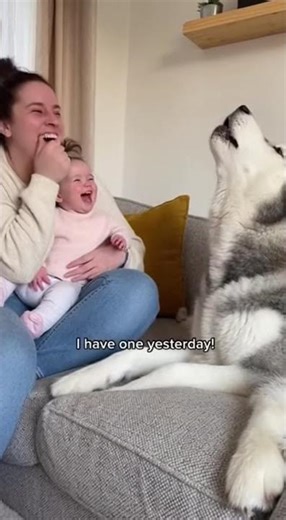 🤣Baby asks Dog:" Do you have boyfriend?"
