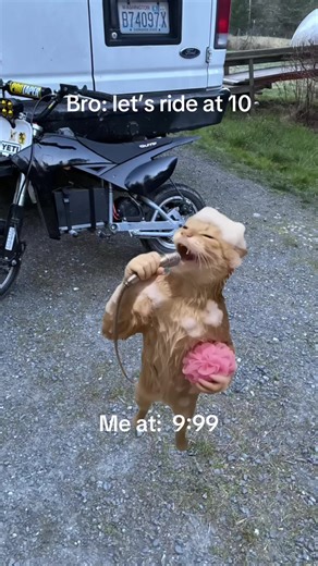 #Meme #MemeCut it Ts tuff?#fyppppppppppppppppppppppp #razor #dialed | razer