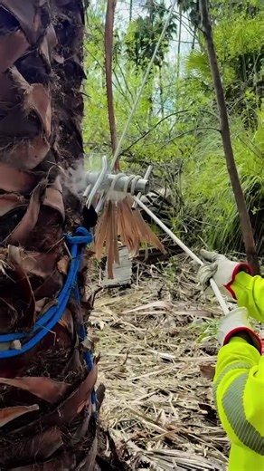 Efficient Trework Techniques for a Productive Half Hour