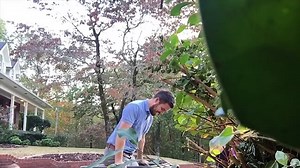 Best of  2019 AFV Funniest Videos 2019