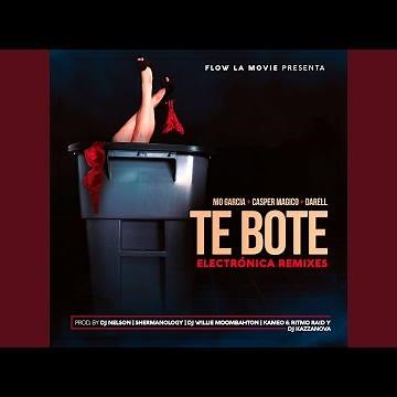 Te Boté (Moombahton Remix)