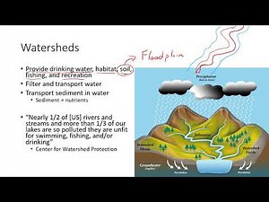 7. Watersheds