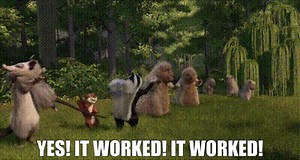 Yes! It worked! It worked!