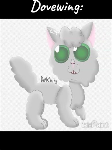 Designing every WC 5 #warriorcats #design #speedpaint #dovewing #ivypool #hollyleaf #fypシ゚viral #wc