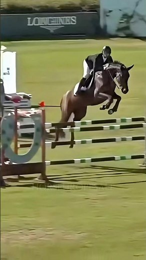 #Mare 2019🤎Routes 1,40cm🔝#sporthorses #showjumping